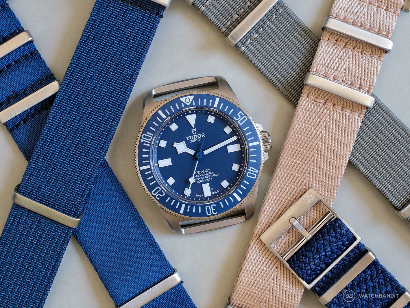 Tudor-Pelagos-FXD-Strap-Guide-Titl-min
