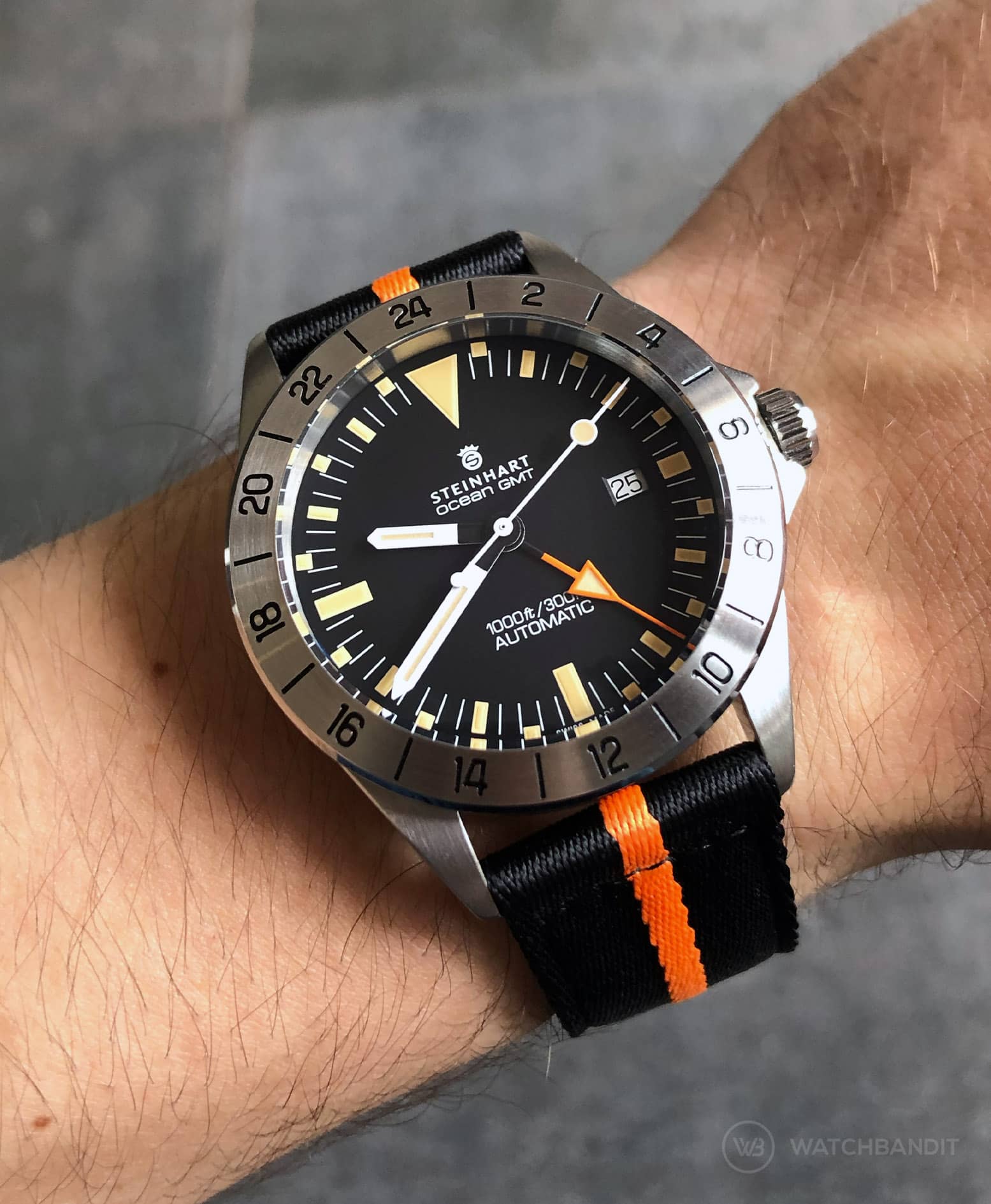 Hands on: Steinhart Ocean Vintage GMT + Strap Guide by Watchbandit