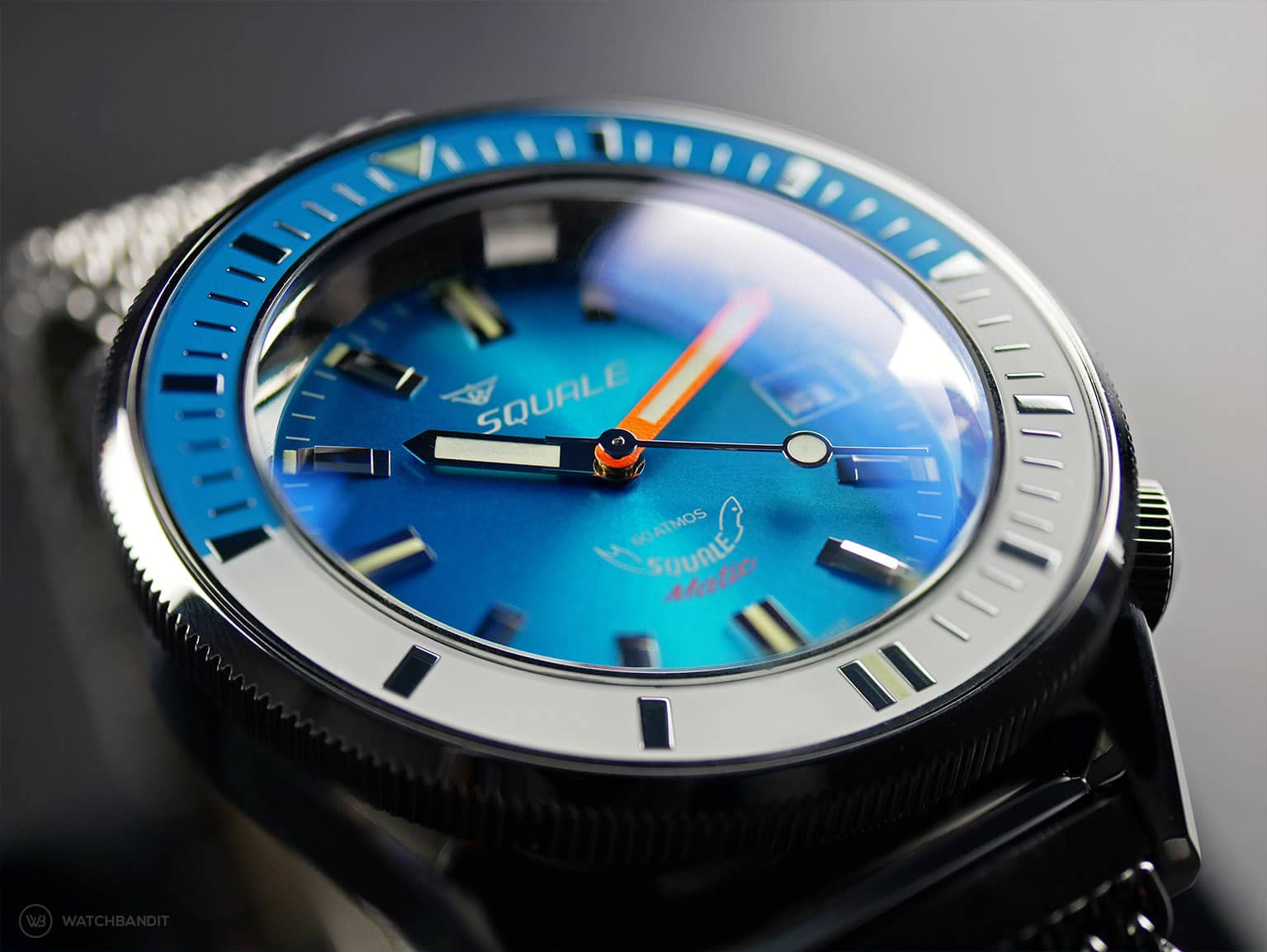Squale - Matic - Light Blue - Close up