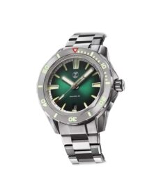 watchbandit.com
