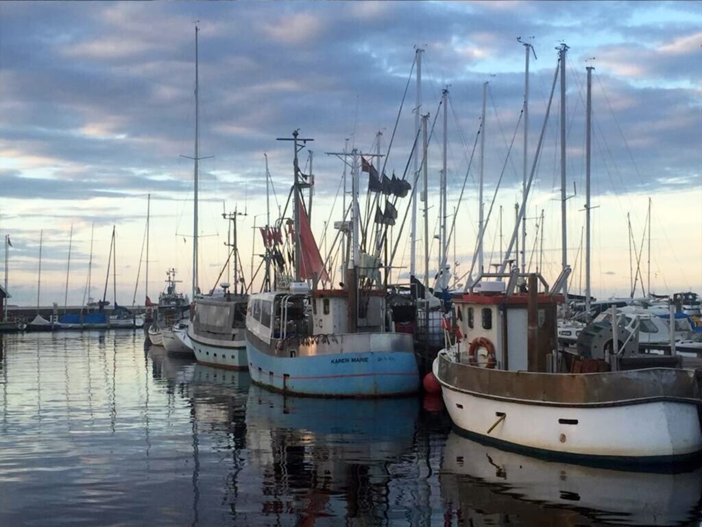Nordic Marine Instruments-danish fishing ships-min